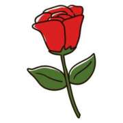 ヒメ日記 2026/03/20 11:03 投稿 かずは　奥様 SUTEKIな奥様は好きですか?