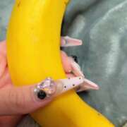 ヒメ日記 2026/03/23 18:34 投稿 らな【甘エロ小悪魔系】 STELLA NEXT－ステラネクスト－