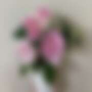 ヒメ日記 2026/02/27 11:33 投稿 ひめ ときめき女学院