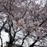 ヒメ日記 2026/04/05 21:37 投稿 ね　る【巨乳女子】 Select(セレクト)