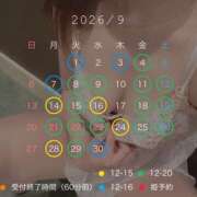 ヒメ日記 2026/08/29 10:47 投稿 ね　る【巨乳女子】 Select(セレクト)