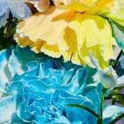 ヒメ日記 2026/02/21 14:46 投稿 大空　明日 30・40・50代☆人妻熟女コレクション