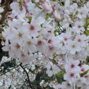 ヒメ日記 2026/04/09 22:44 投稿 大空　明日 30・40・50代☆人妻熟女コレクション