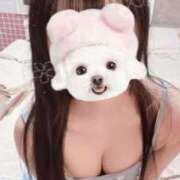 ヒメ日記 2026/03/01 13:08 投稿 いおり 深海魚