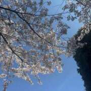 ヒメ日記 2026/04/03 15:13 投稿 えいみ若奥 未熟な若奥