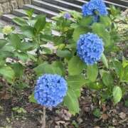 ヒメ日記 2026/06/14 11:03 投稿 えいみ若奥 未熟な若奥