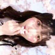 ヒメ日記 2026/03/31 12:33 投稿 ゆき ニューグランド