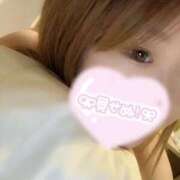 ヒメ日記 2026/02/28 20:04 投稿 猫猫【まおまお】 キラキラ大阪