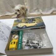 ヒメ日記 2026/02/20 15:35 投稿 りょう おいらん遊郭