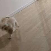 ヒメ日記 2026/02/22 14:45 投稿 りょう おいらん遊郭