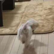 ヒメ日記 2026/02/23 14:55 投稿 りょう おいらん遊郭