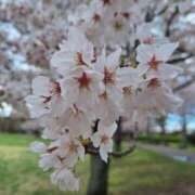 ヒメ日記 2026/04/02 17:00 投稿 ふたば モアグループ神栖人妻花壇