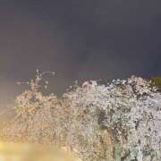 ヒメ日記 2026/03/30 15:31 投稿 苗木ほの 乳ビーナス(New Venus)