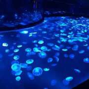 あいこ おはようございます😌 出会い系人妻ネットワーク錦糸町～小岩編