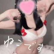 ヒメ日記 2026/06/13 08:14 投稿 ひな Porn HAREM 熊谷店