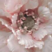 ヒメ日記 2026/02/28 23:10 投稿 みく 新大阪秘密倶楽部