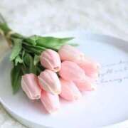 ヒメ日記 2026/02/10 09:41 投稿 新人・一華(いちか) グランドオペラ福岡