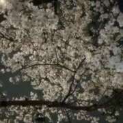 ヒメ日記 2026/04/05 21:00 投稿 NOA Club SEXY