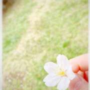 つむぎ 何を書こうか悩み中… 出会い系人妻ネットワーク 上野〜大塚編