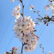 つむぎ 2週間ぶりの参加となります🍀 出会い系人妻ネットワーク 上野〜大塚編