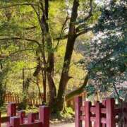 ヒメ日記 2026/04/11 10:26 投稿 つむぎ 出会い系人妻ネットワーク 上野〜大塚編