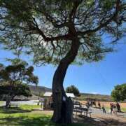 ヒメ日記 2026/04/11 22:06 投稿 ゆう クリスタル