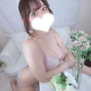 ヒメ日記 2026/02/10 17:08 投稿 なお アラカルト