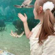 ヒメ日記 2026/02/19 03:40 投稿 なお アラカルト