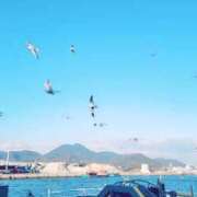 ヒメ日記 2026/02/11 17:06 投稿 西園夢香(にしぞのゆめか) 九州熟女　熊本店