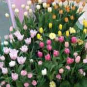 あいら こんにちは 熟女家 豊中蛍池店