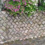 ヒメ日記 2026/04/23 16:10 投稿 あいら 熟女家 豊中蛍池店