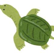 ヒメ日記 2026/02/13 07:01 投稿 及川るい MADAM