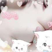 ヒメ日記 2026/02/15 09:01 投稿 なのは スピードエコ京橋店