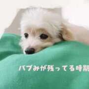 なのは なのは（エコ京橋店） スピードエコ京橋店