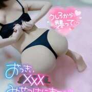 ヒメ日記 2026/02/17 21:21 投稿 きらら スピードエコ京橋店