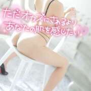 ヒメ日記 2026/02/24 15:11 投稿 きらら スピードエコ京橋店