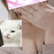 ヒメ日記 2026/03/02 11:31 投稿 きらら スピードエコ京橋店