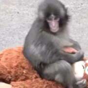 ヒメ日記 2026/04/01 23:31 投稿 きらら スピードエコ京橋店