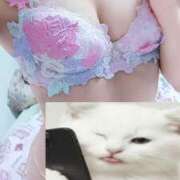 ヒメ日記 2026/04/03 08:11 投稿 きらら スピードエコ京橋店