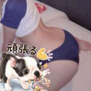 ヒメ日記 2026/06/22 20:41 投稿 きらら スピードエコ京橋店