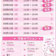 ヒメ日記 2026/09/01 10:07 投稿 きらら スピードエコ京橋店