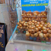 ヒメ日記 2026/10/14 14:17 投稿 きらら スピードエコ京橋店