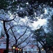 ヒメ日記 2026/04/03 13:00 投稿 よこはま とある風俗店♡やりすぎさーくる新宿大久保店♡で色んな無料オプションしてみました