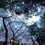 ヒメ日記 2026/04/03 13:08 投稿 よこはま とある風俗店♡やりすぎさーくる新宿大久保店♡で色んな無料オプションしてみました