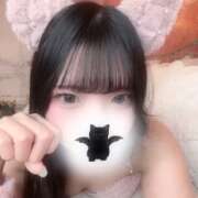 ヒメ日記 2026/02/08 02:49 投稿 るん【癒しの極上ロリ系】 STELLA TOKYO－ステラトウキョウ－