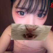 ヒメ日記 2026/02/25 23:32 投稿 るん【癒しの極上ロリ系】 STELLA TOKYO-ステラトウキョウ-