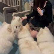 ヒメ日記 2026/02/18 12:54 投稿 雪城はる ウルトラセレクション