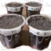 ヒメ日記 2026/02/16 00:09 投稿 なゆ 鹿児島ちゃんこ霧島店