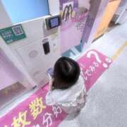 ヒメ日記 2026/02/14 17:03 投稿 ここな 桃色☆めぃぷるシロップ