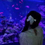 ヒメ日記 2026/02/16 02:12 投稿 ここな 桃色☆めぃぷるシロップ